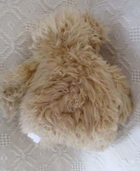 A CUTE LONG-HAIRED BEAR WITH A DECIDEDLY WEASEL-LIKE FACE!