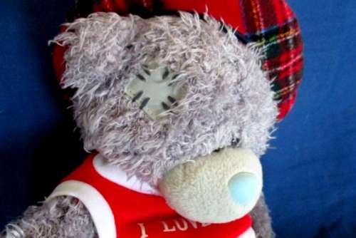 A LARGER TATTY TEDDY  (ME TO YOU) - WEARING A JAUNTY SCOTTISH BERET