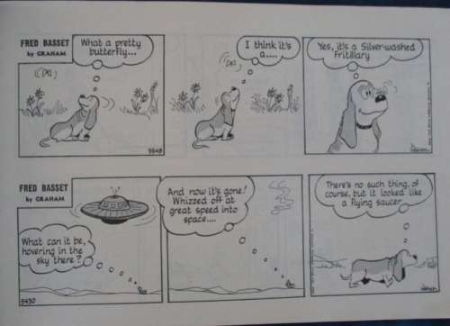 1982/83 NO.s 34 & 35 - FRED BASSET - I HAVEN'T SEEN THIS LOVABLE HOUND FOR QUITE A WHILE!