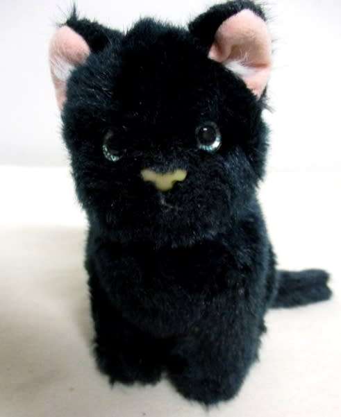 A SWEET LITTLE BLACK KITTY CAT