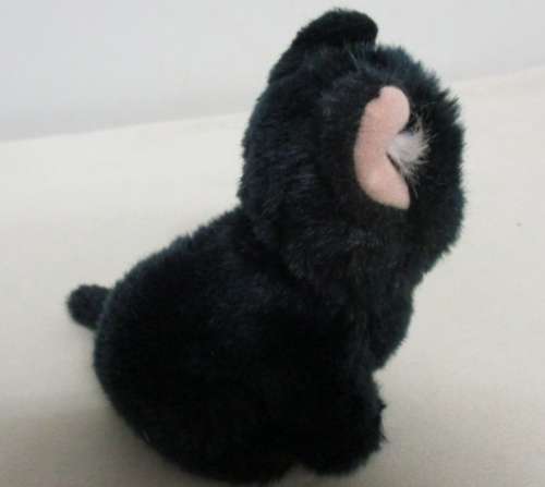 A SWEET LITTLE BLACK KITTY CAT