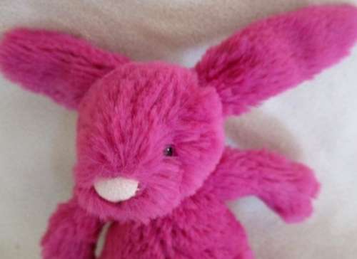 FOR ANKE AND YOLANDIE ONLY - A TINY COLLECTABLE JELLYCAT BUNNY RABBIT