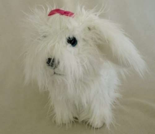 A CUTE ANIMAGIC PUP FOR DISPLAY