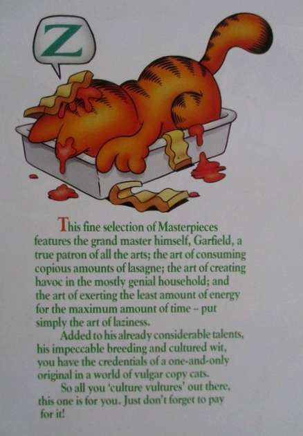 FOR GARFIELD FANS - THE GARFIELD SELECTION - LOVE THE ATTITUDE!!