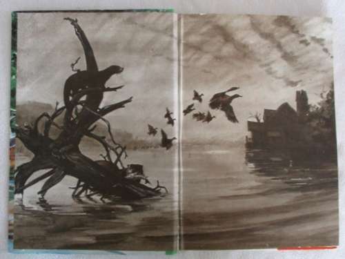 RATHER RARE - 1960 - WALT DISNEY'S THE ODYSSEY OF AN OTTER - FACT-FICTION HARDCOVER WITH DUST COVER