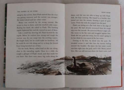 RATHER RARE - 1960 - WALT DISNEY'S THE ODYSSEY OF AN OTTER - FACT-FICTION HARDCOVER WITH DUST COVER