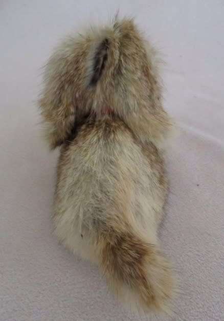 THE SOFTEST, CUTEST BUNNY RABBIT MADE FROM ARTIFICIAL 'REAL FUR'