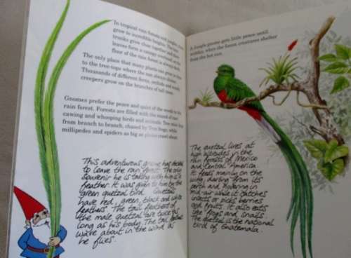 BEAUTIFULLY ILLUSTRATED, GREAT FUN AND EDUCATIONAL - THE SECRET BOOK OF THE GNOMES - 24 HARD COVERS