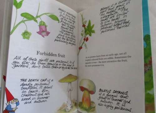BEAUTIFULLY ILLUSTRATED, GREAT FUN AND EDUCATIONAL - THE SECRET BOOK OF THE GNOMES - 24 HARD COVERS