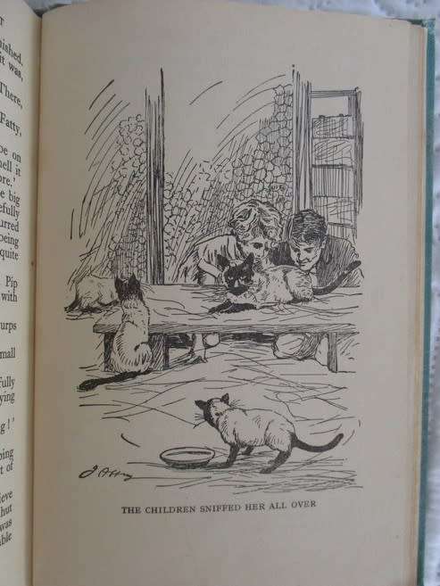 1949 -A RATHER RARE ENID BLYTON EDITION -HARDCOVER - THE MYSTERY OF THE DISAPPEARING CAT