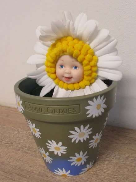 SWEET ANNE GEDDES BABY DAISY IN HER FLOWER POT
