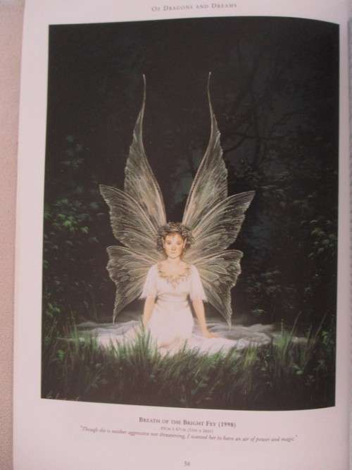 AWESOME MYSTICAL, GOTHIC ART - ENCHANTED WORLD THE ART OF ANNE SUDWORTH