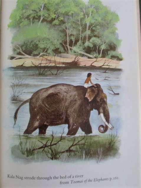 FOR BONJOURPARIS40 ONLY - 1983 HARD COVER PLUS DUST COVER - THE JUNGLE BOOK - GREAT CONDITION