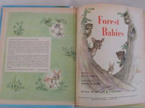 1959 - A RAND MCNALLY BOOK WITH THE SWEETEST PICTURES - FOREST BABIES