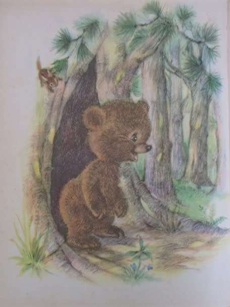 1959 - A RAND MCNALLY BOOK WITH THE SWEETEST PICTURES - FOREST BABIES