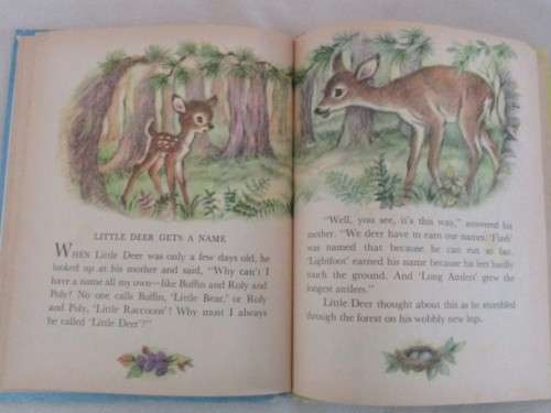 1959 - A RAND MCNALLY BOOK WITH THE SWEETEST PICTURES - FOREST BABIES