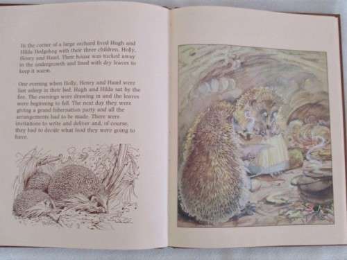 1978 - HARD COVER PLUS DUST COVER - THE HEDGEHOG FEAST - BY EDITH HOLDEN - SO SPECIAL!!