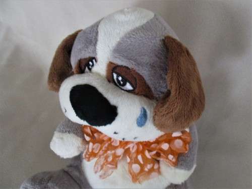 A CUTE, SAD JOE E JENNY DOG