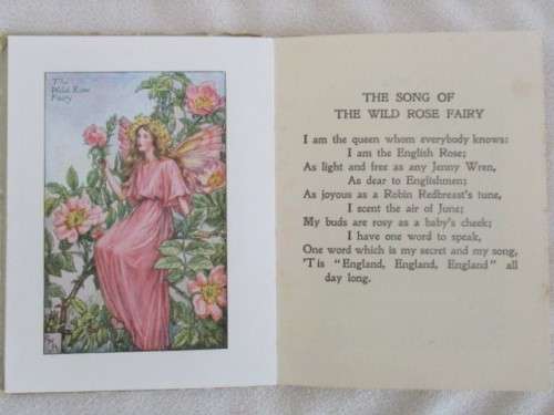 A VERY RARE (AND VALUABLE) 1930's EDITION OF CICELY MARY BARKER'S FLOWER FAIRIES OF THE SUMMER