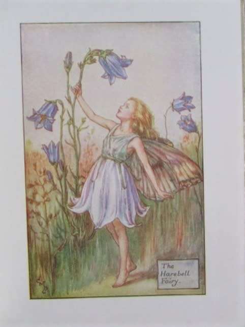 A VERY RARE (AND VALUABLE) 1930's EDITION OF CICELY MARY BARKER'S FLOWER FAIRIES OF THE SUMMER