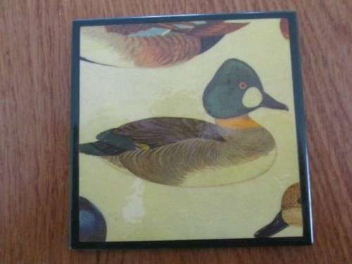 SIX VINTAGE COASTERS DISPLAYING VARIOUS DIFFERENT DUCKS - IN BOX - GREAT CONDITION