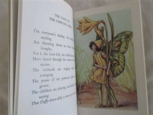 TWO CICELY MARY BARKER FLOWER FAIRIES BOOKS (SOFT COVERS)