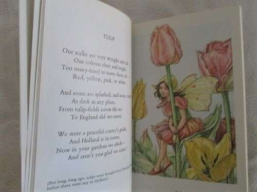 TWO CICELY MARY BARKER FLOWER FAIRIES BOOKS (SOFT COVERS)