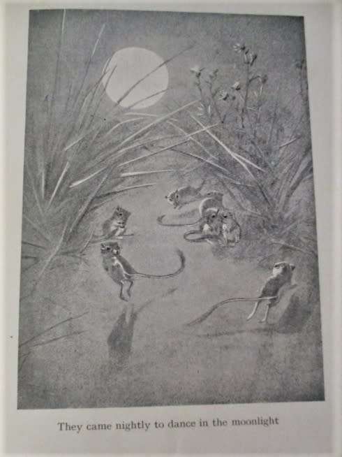 A SET OF SIX COLLECTABLE ERNEST THOMPSON SETON HARD COVER ANIMAL STORY BOOKS - CIRCA 1925 TO 1930
