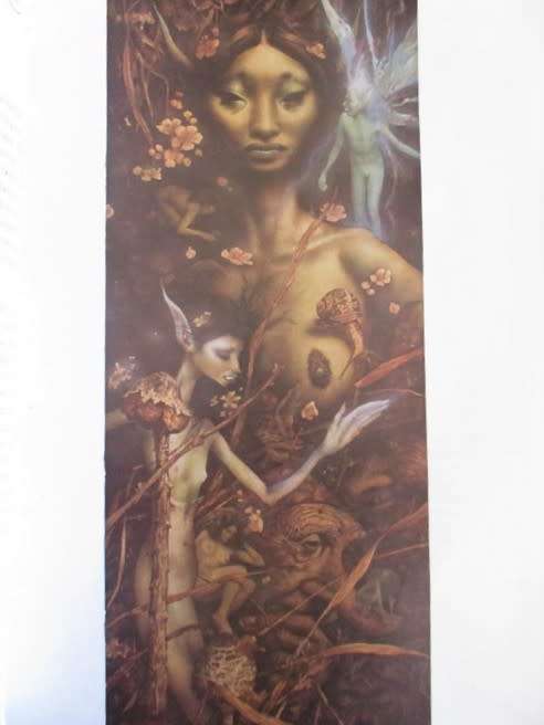 AN AWESOME BOOK ON FAIRIES (DEFINITELY NOT FOR CHILDREN) - FAERIES BY BRIAN FROUD AND ALAN LEE