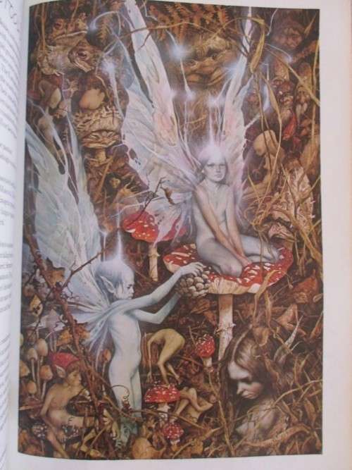 AN AWESOME BOOK ON FAIRIES (DEFINITELY NOT FOR CHILDREN) - FAERIES BY BRIAN FROUD AND ALAN LEE