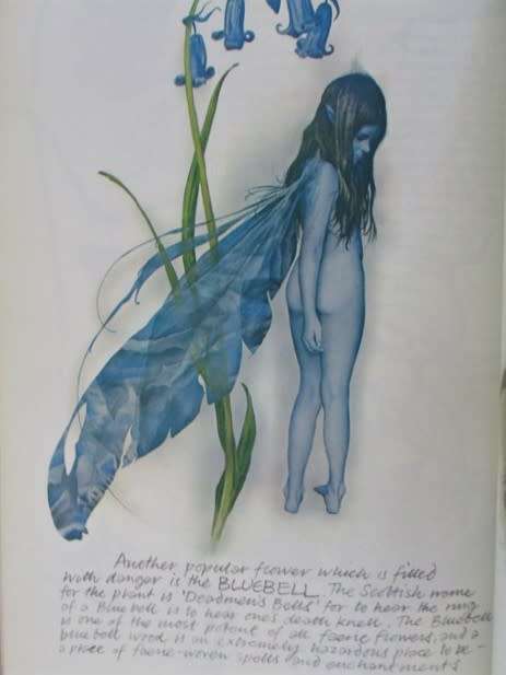 AN AWESOME BOOK ON FAIRIES (DEFINITELY NOT FOR CHILDREN) - FAERIES BY BRIAN FROUD AND ALAN LEE