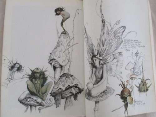 AN AWESOME BOOK ON FAIRIES (DEFINITELY NOT FOR CHILDREN) - FAERIES BY BRIAN FROUD AND ALAN LEE
