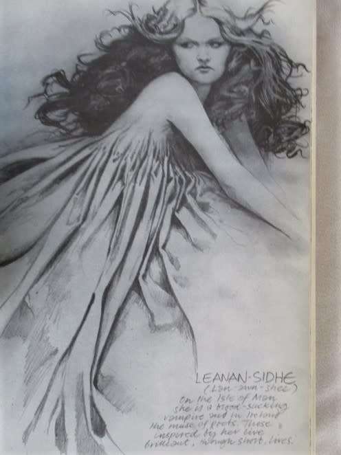 AN AWESOME BOOK ON FAIRIES (DEFINITELY NOT FOR CHILDREN) - FAERIES BY BRIAN FROUD AND ALAN LEE