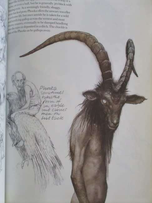AN AWESOME BOOK ON FAIRIES (DEFINITELY NOT FOR CHILDREN) - FAERIES BY BRIAN FROUD AND ALAN LEE