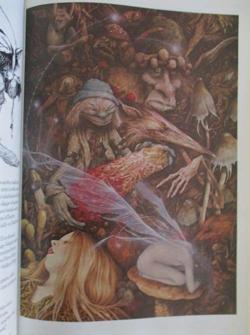 AN AWESOME BOOK ON FAIRIES (DEFINITELY NOT FOR CHILDREN) - FAERIES BY BRIAN FROUD AND ALAN LEE