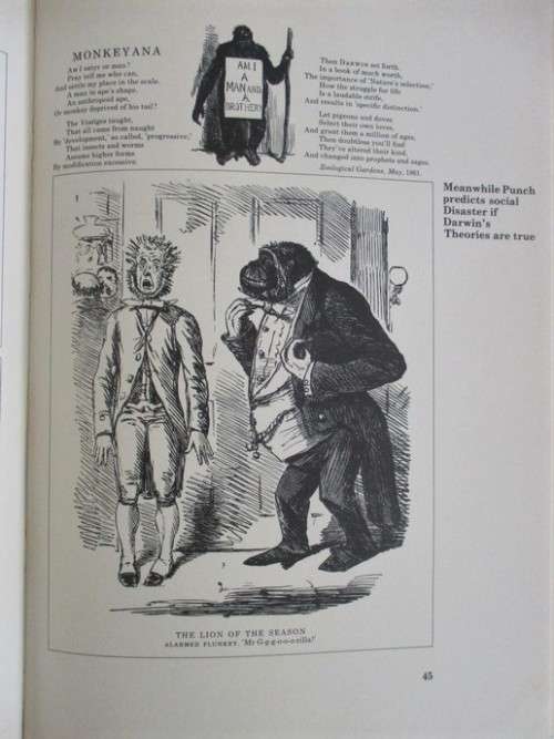 1972 - CAP AND BELL - PUNCH`S CHRONICLE OF ENGLISH HISTORY IN THE MAKING, 1842-1861 - LARGE BOOK