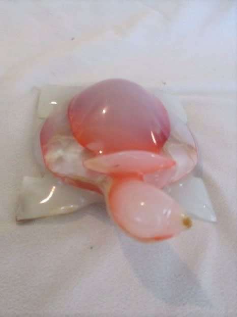 LARGE TURTLE CARVED OUT OF SEMI-PRECIOUS STONE