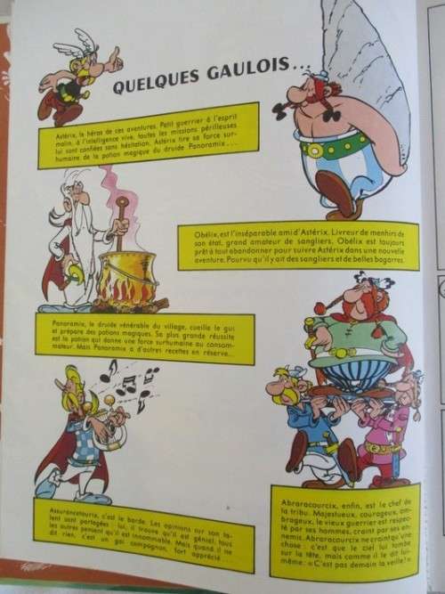 FOR THE ASTERIX COLLECTOR - 1980 HARDCOVER IN ORIGINAL FRENCH - ASTERIX AND THE GREAT CROSSING
