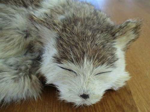 A REALISTIC SLEEPING CAT MADE FROM ARTIFICIAL "FUR"