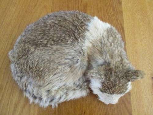 A REALISTIC SLEEPING CAT MADE FROM ARTIFICIAL "FUR"