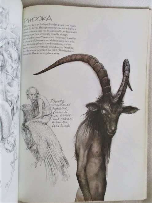AN AWESOME BOOK ON FAIRIES (DEFINITELY NOT FOR CHILDREN) - FAERIES BY BRIAN FROUD AND ALAN LEE
