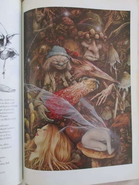 AN AWESOME BOOK ON FAIRIES (DEFINITELY NOT FOR CHILDREN) - FAERIES BY BRIAN FROUD AND ALAN LEE