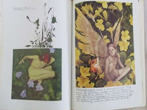 AN AWESOME BOOK ON FAIRIES (DEFINITELY NOT FOR CHILDREN) - FAERIES BY BRIAN FROUD AND ALAN LEE