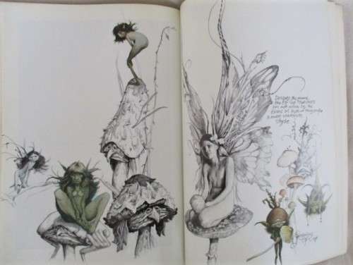 AN AWESOME BOOK ON FAIRIES (DEFINITELY NOT FOR CHILDREN) - FAERIES BY BRIAN FROUD AND ALAN LEE