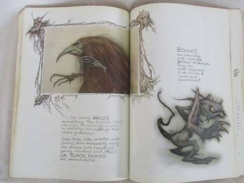 AN AWESOME BOOK ON FAIRIES (DEFINITELY NOT FOR CHILDREN) - FAERIES BY BRIAN FROUD AND ALAN LEE