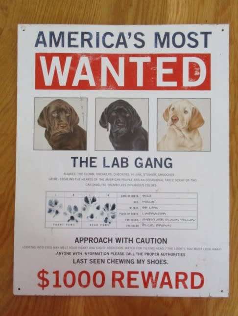 FOR THE DOG LOVER - LARGE METAL SIGN - AMERICA'S MOST WANTED/ THE LAB GANG - SUCH FUN!!