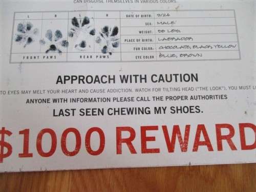 FOR THE DOG LOVER - LARGE METAL SIGN - AMERICA'S MOST WANTED/ THE LAB GANG - SUCH FUN!!