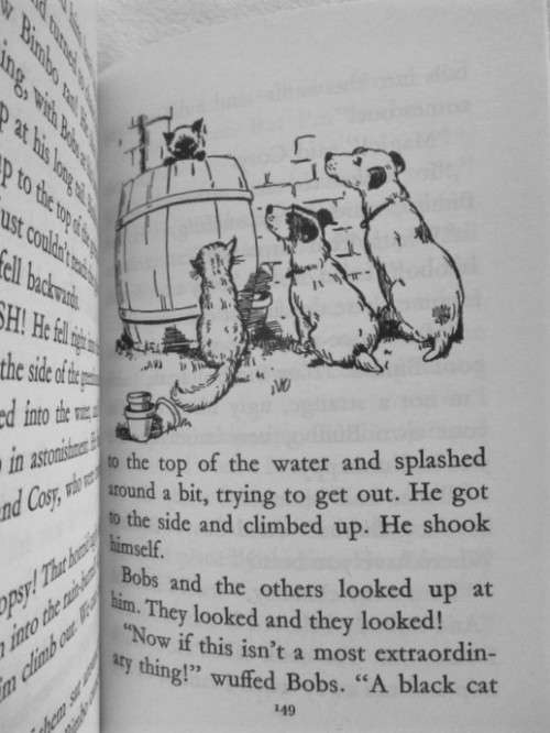 FOR BONJOURPARIS40 ONLY - 1990 HARD COVER - COLLECTABLE ENID BLYTON BOOK - BIMBO AND TOPSY