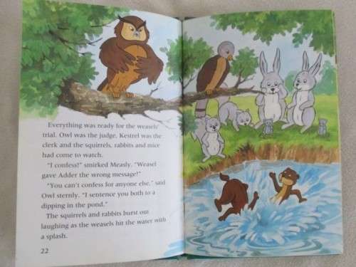 1994 HARD COVER BUZZ BOOK - THE ANIMALS OF FARTHING WOOD -  TROUBLE IN THE PARK  - GREAT CONDITION