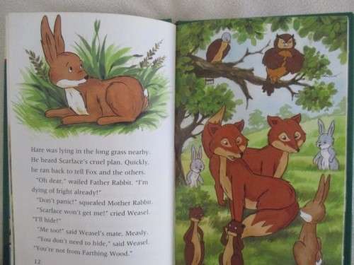 1994 HARD COVER BUZZ BOOK - THE ANIMALS OF FARTHING WOOD -  SHOWDOWN  - GREAT CONDITION